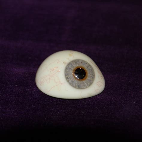 glass eyes for sale