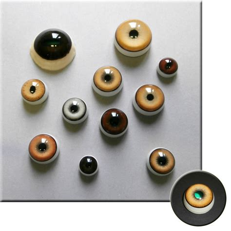 taxidermy glass eyes