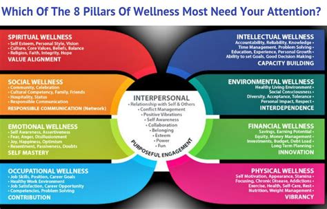 Holistic Approaches to Eye Health and Wellness