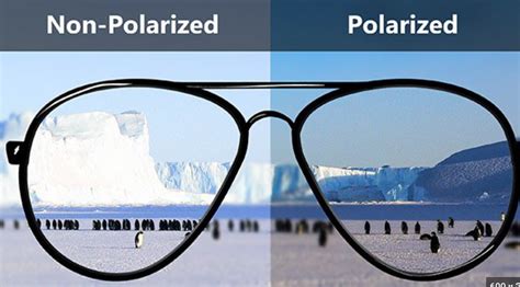 Unlocking the Power of Polarized Lenses: Benefits and Best Practices